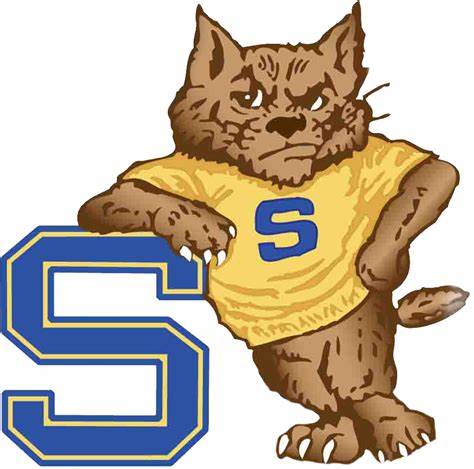 Shenango icon and logo